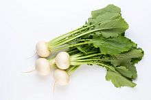 Редька белая