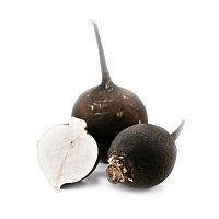 Редька черная